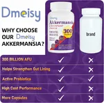 美國 Demisy AKK 益生菌 300億 AFU | 嗜粘蛋白阿克曼氏菌 促進 GLP-1 瘦身修復腸道屏障 60粒膠囊 畫廊縮圖 6