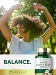 美國 Carlyle White Kidney Bean 白腎豆 白腰豆 6000mg 澱粉阻擋, 食慾抑製, Carb Blocker (200 粒裝) 畫廊縮圖 6