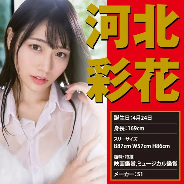 日本No1 - JAPANESE REAL HOLE 激 河北彩花 飛機杯 名器 - 圖片 5