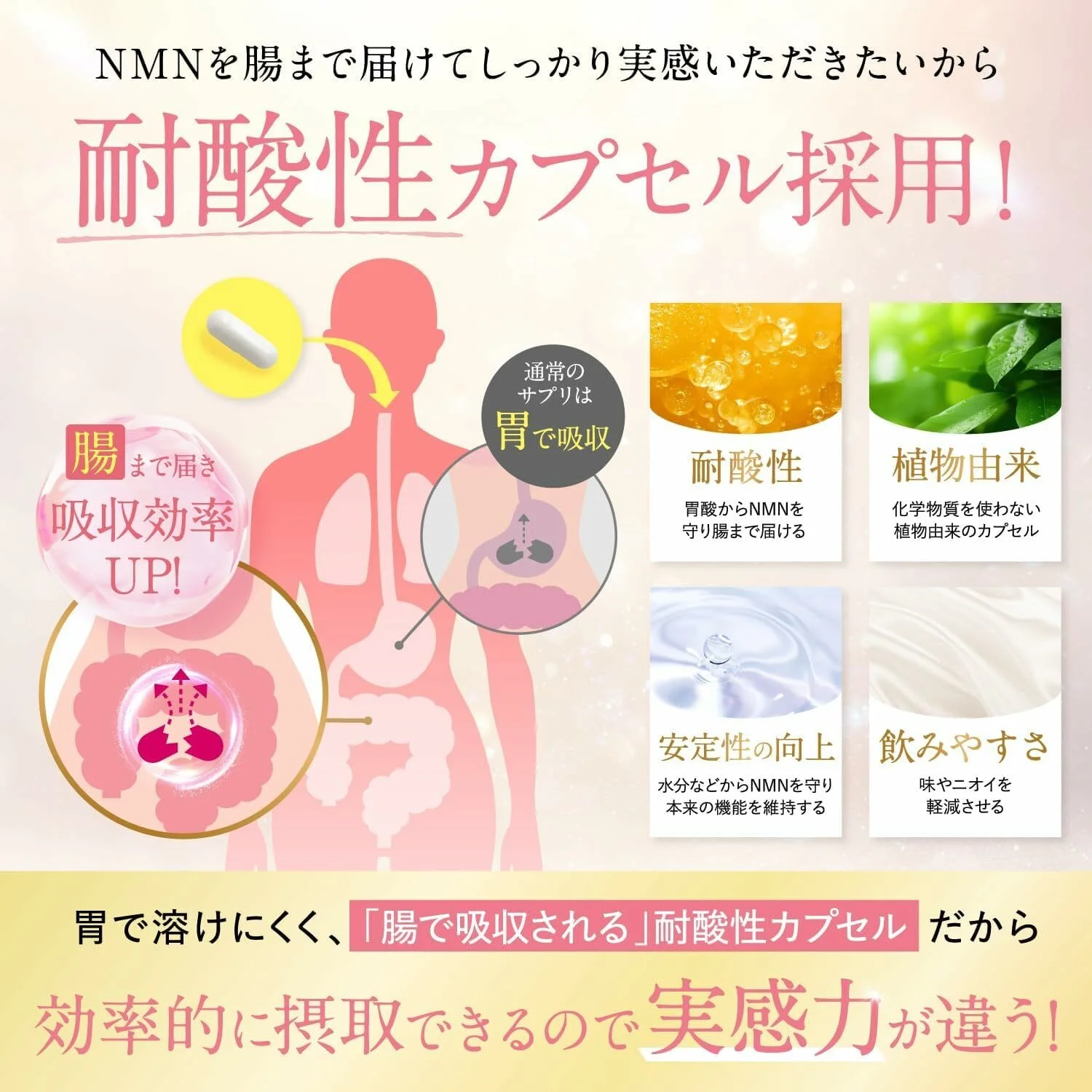New Japan Health NMN Supplement 35000mg Made in Japan High Purity 99.9% Hyaluronic Acid Collagen Placenta Ceramide 120 Capsules Domestic GMP Certified Factory - Image 5