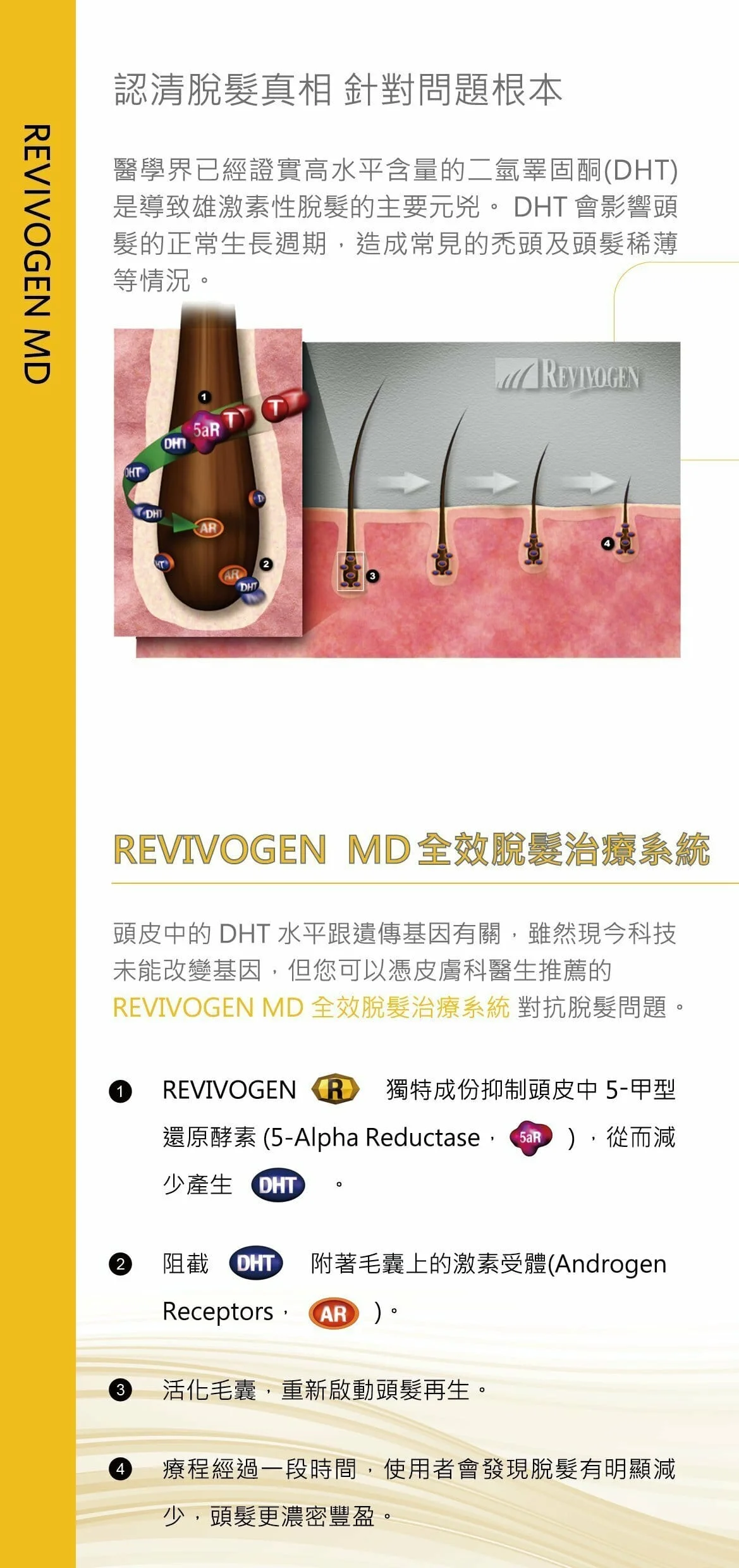 REVIVOGEN MD Scalp Therapy (30 days supply) (1 bottle) - Image 2